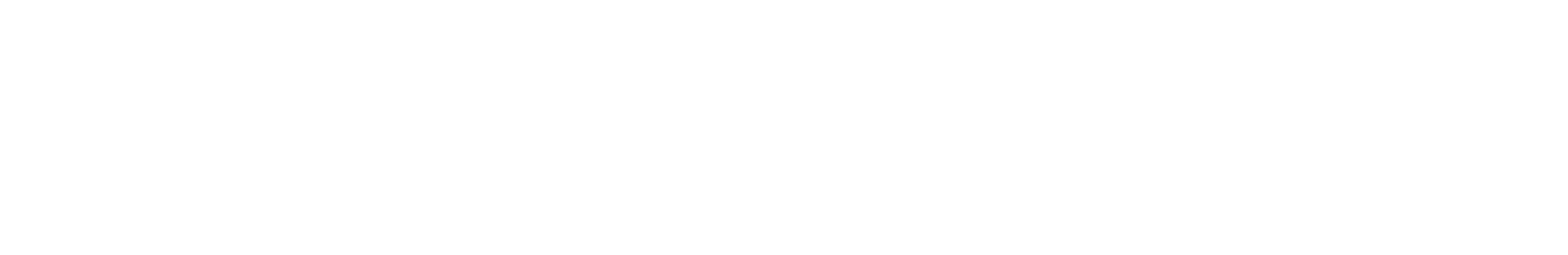 NASCAR